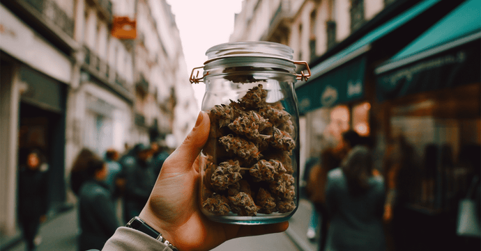 Comment acheter du cannabis en France